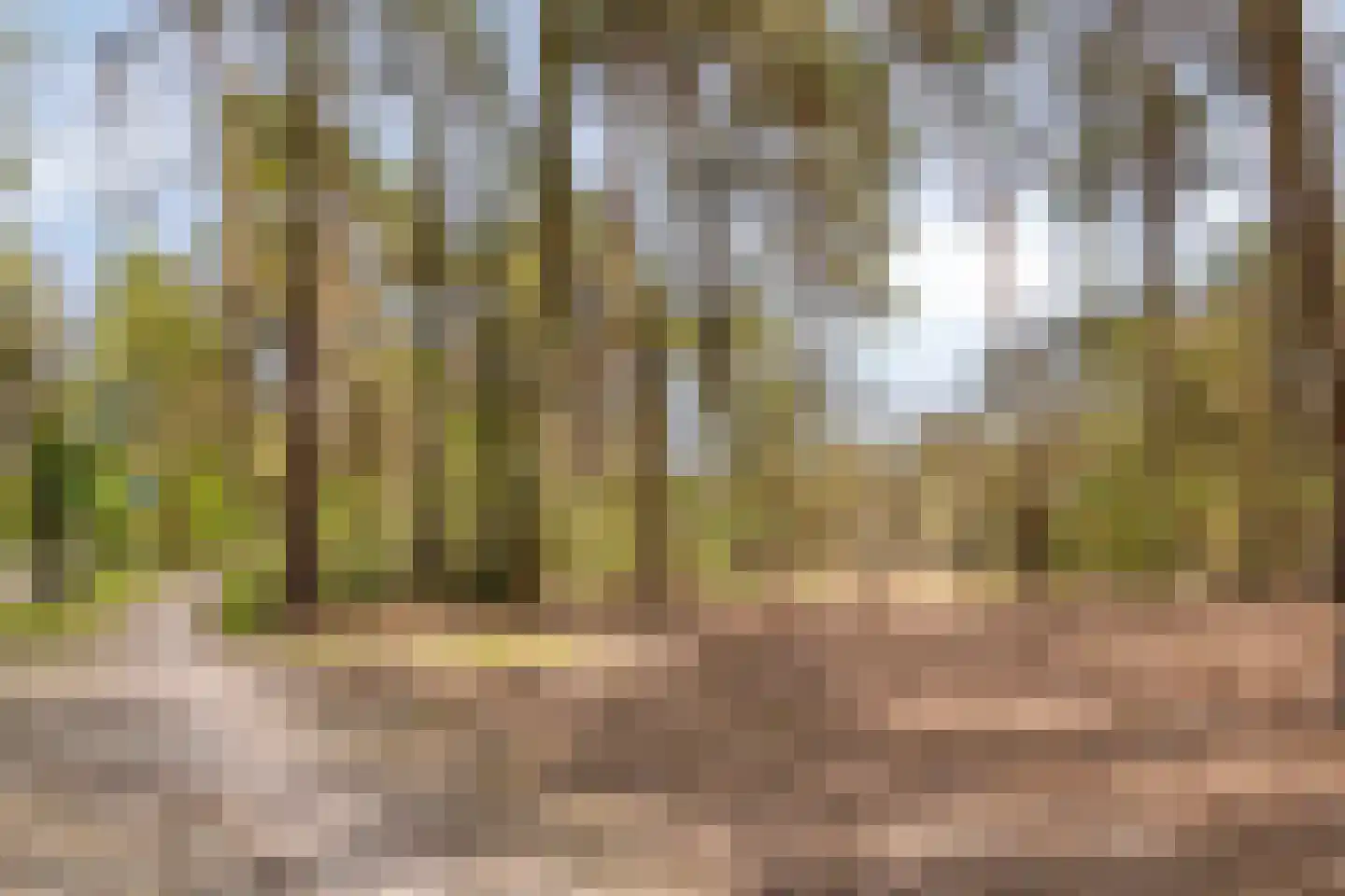 Ansbalduslaan 32 Waalre thumbnail 42