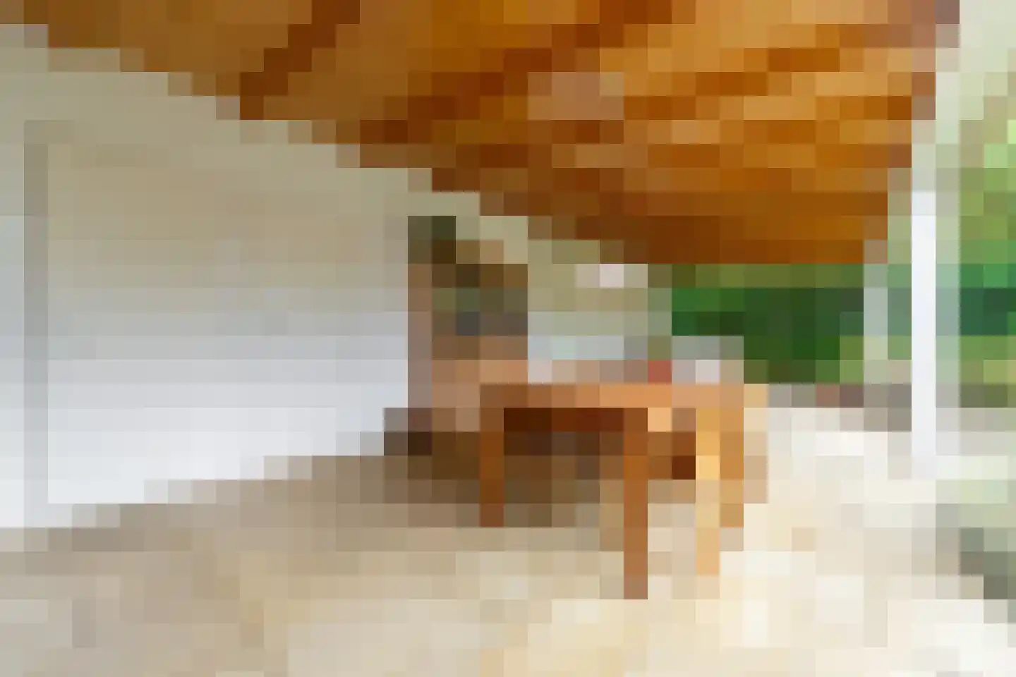 Ansbalduslaan 48 Waalre thumbnail 24