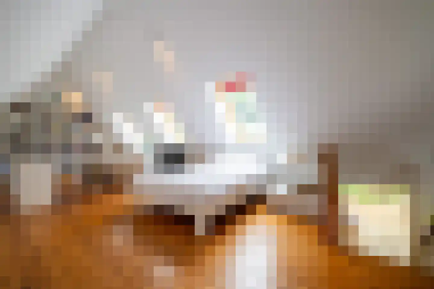 Ansbalduslaan 48 Waalre thumbnail 25