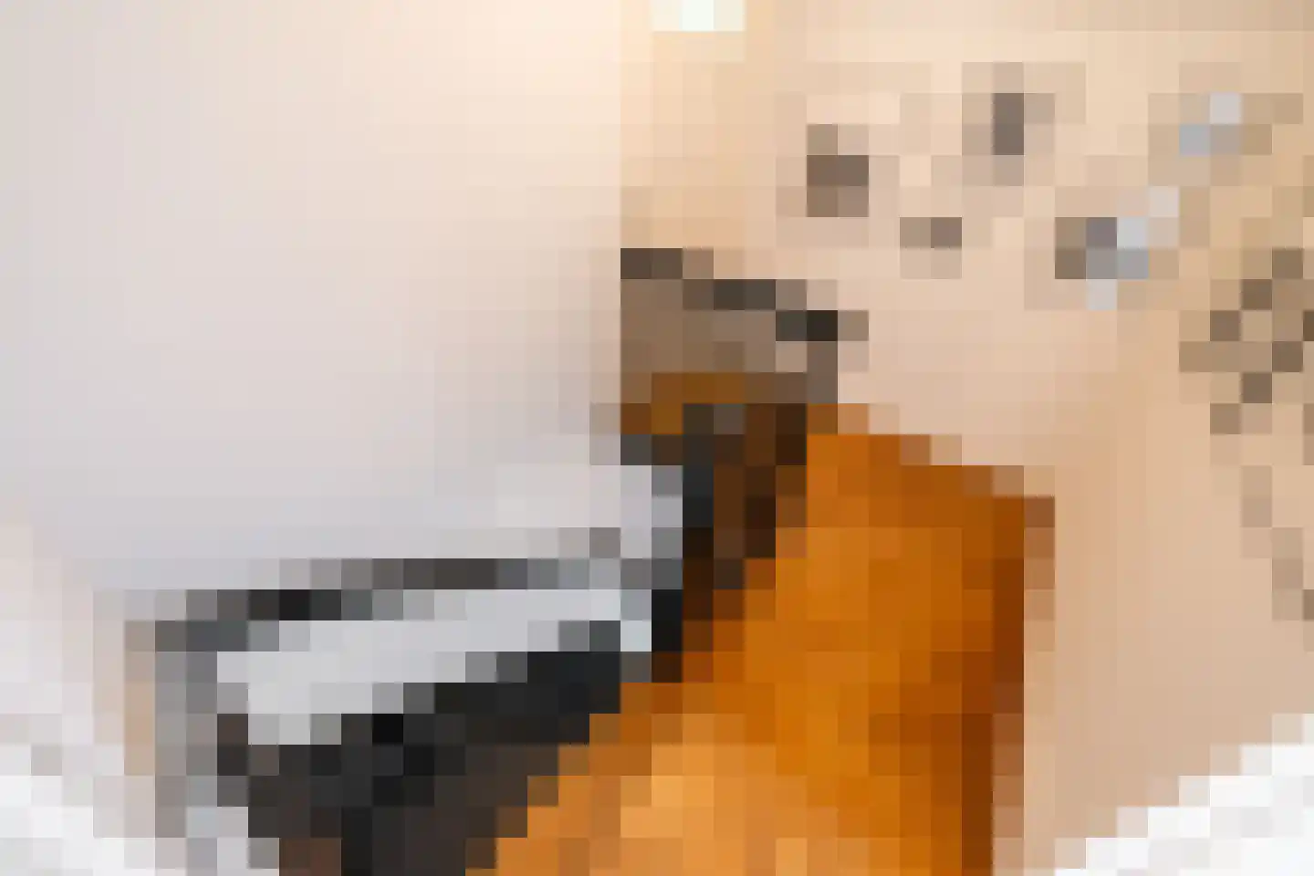 Ansbalduslaan 48 Waalre thumbnail 27
