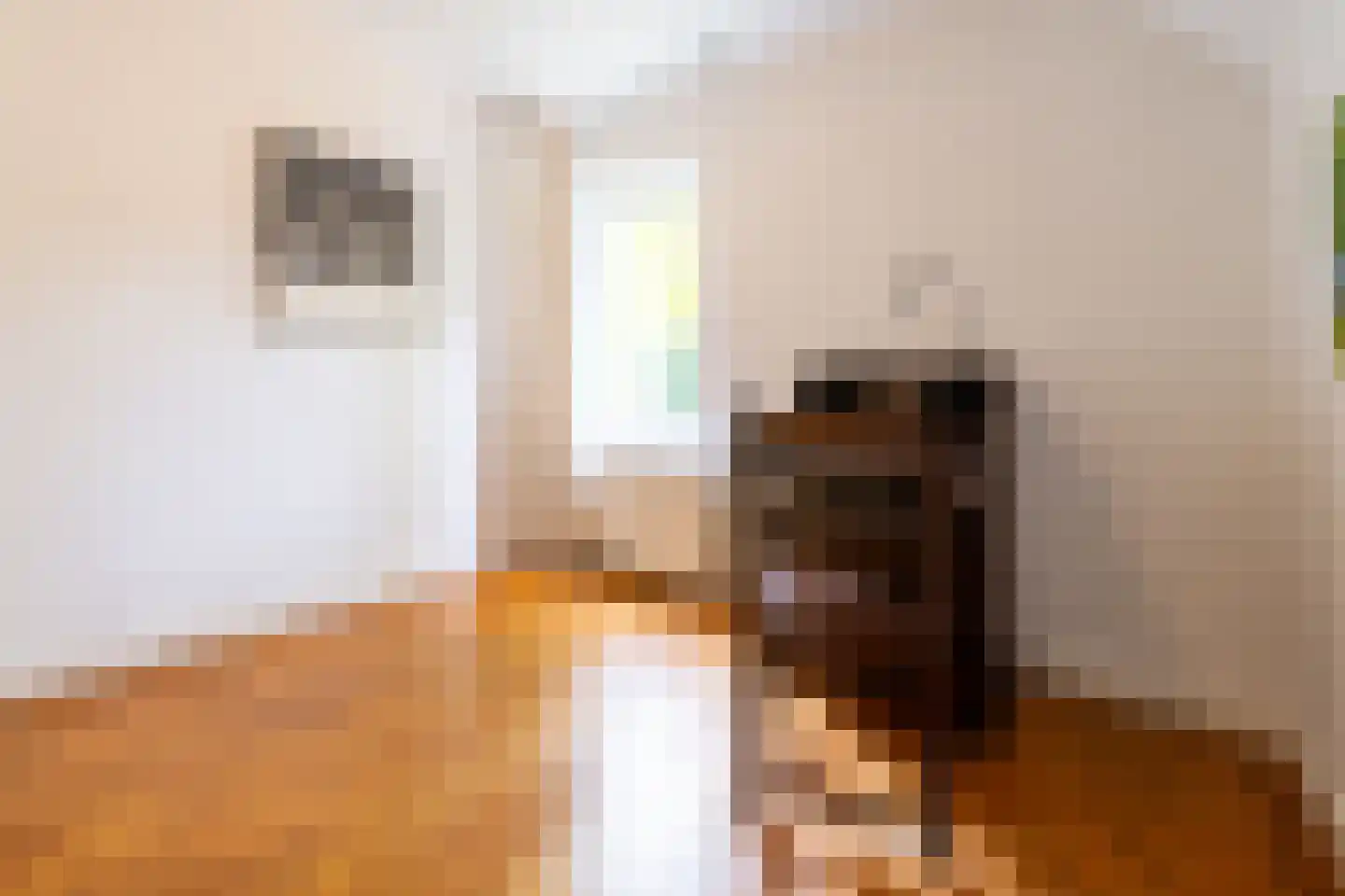 Ansbalduslaan 48 Waalre thumbnail 33