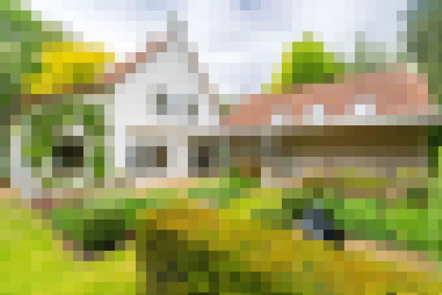 Ansbalduslaan 48 Waalre thumbnail 38