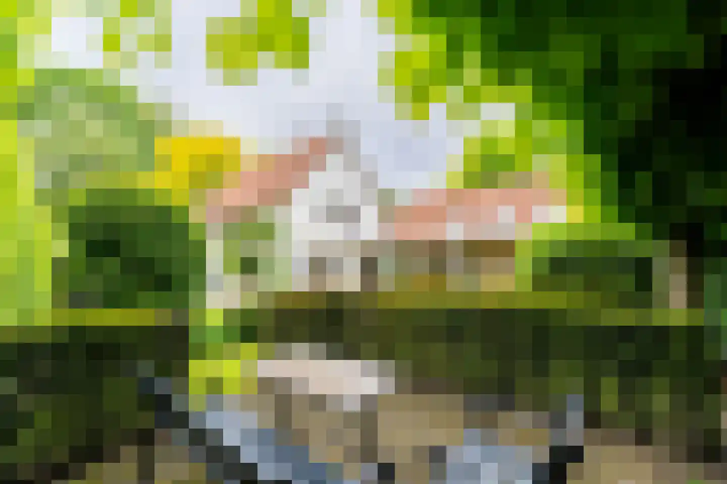 Ansbalduslaan 48 Waalre thumbnail 39