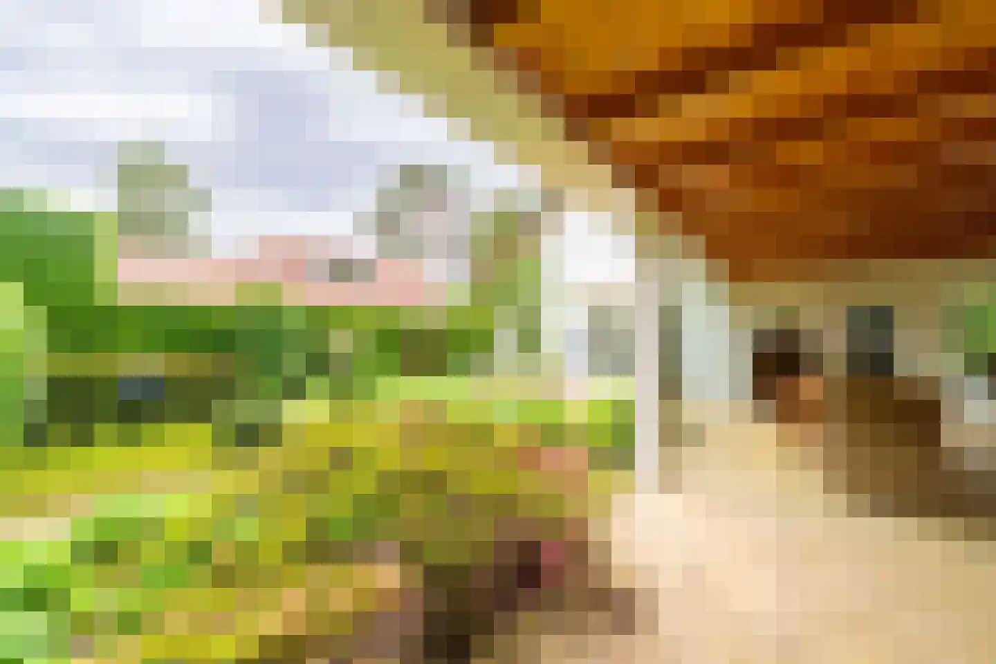 Ansbalduslaan 48 Waalre thumbnail 40