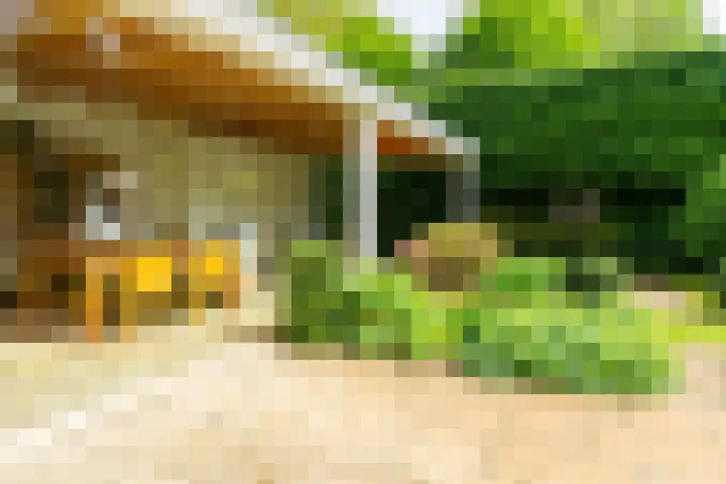 Ansbalduslaan 48 Waalre thumbnail 41