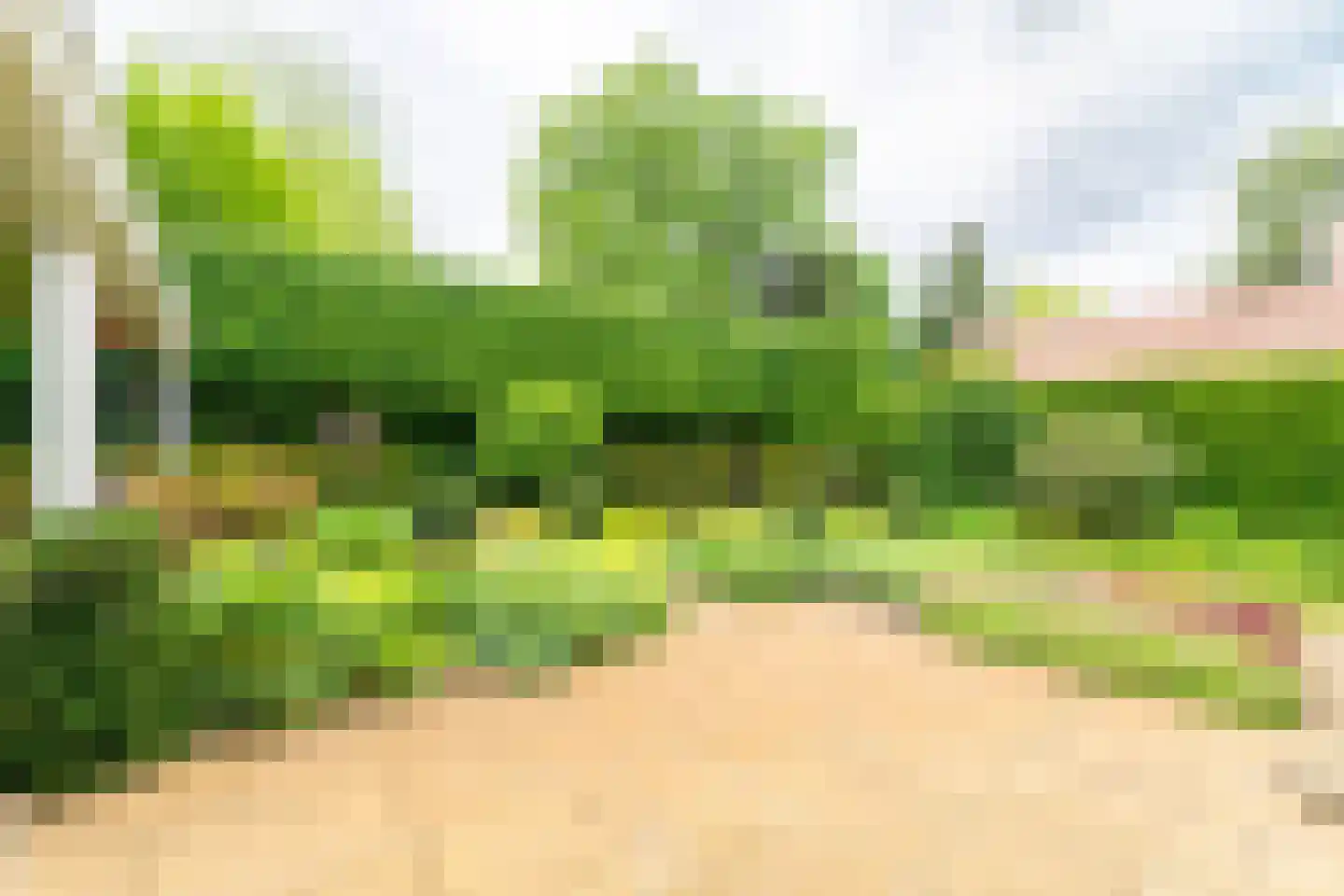 Ansbalduslaan 48 Waalre thumbnail 42