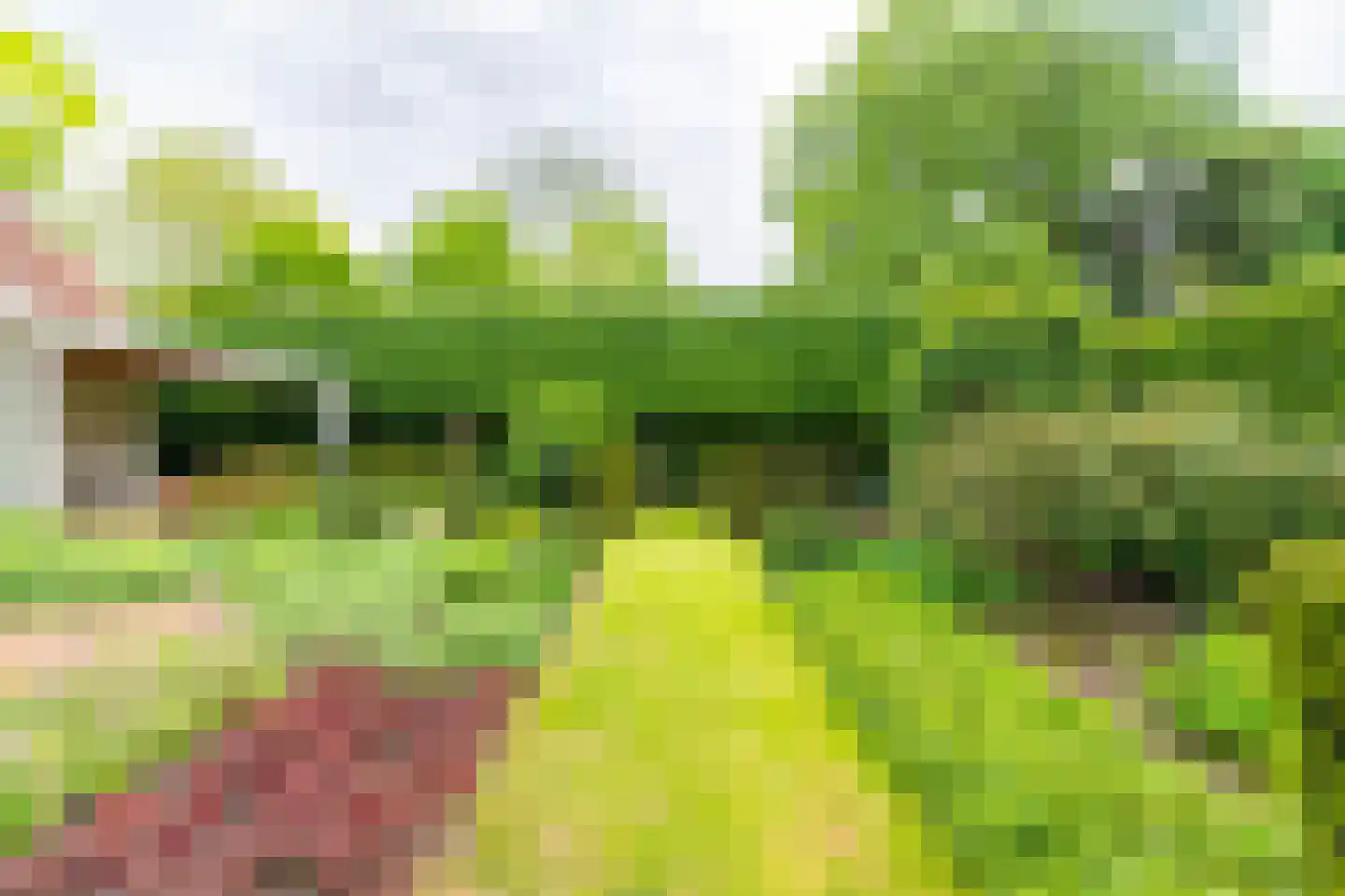 Ansbalduslaan 48 Waalre thumbnail 43