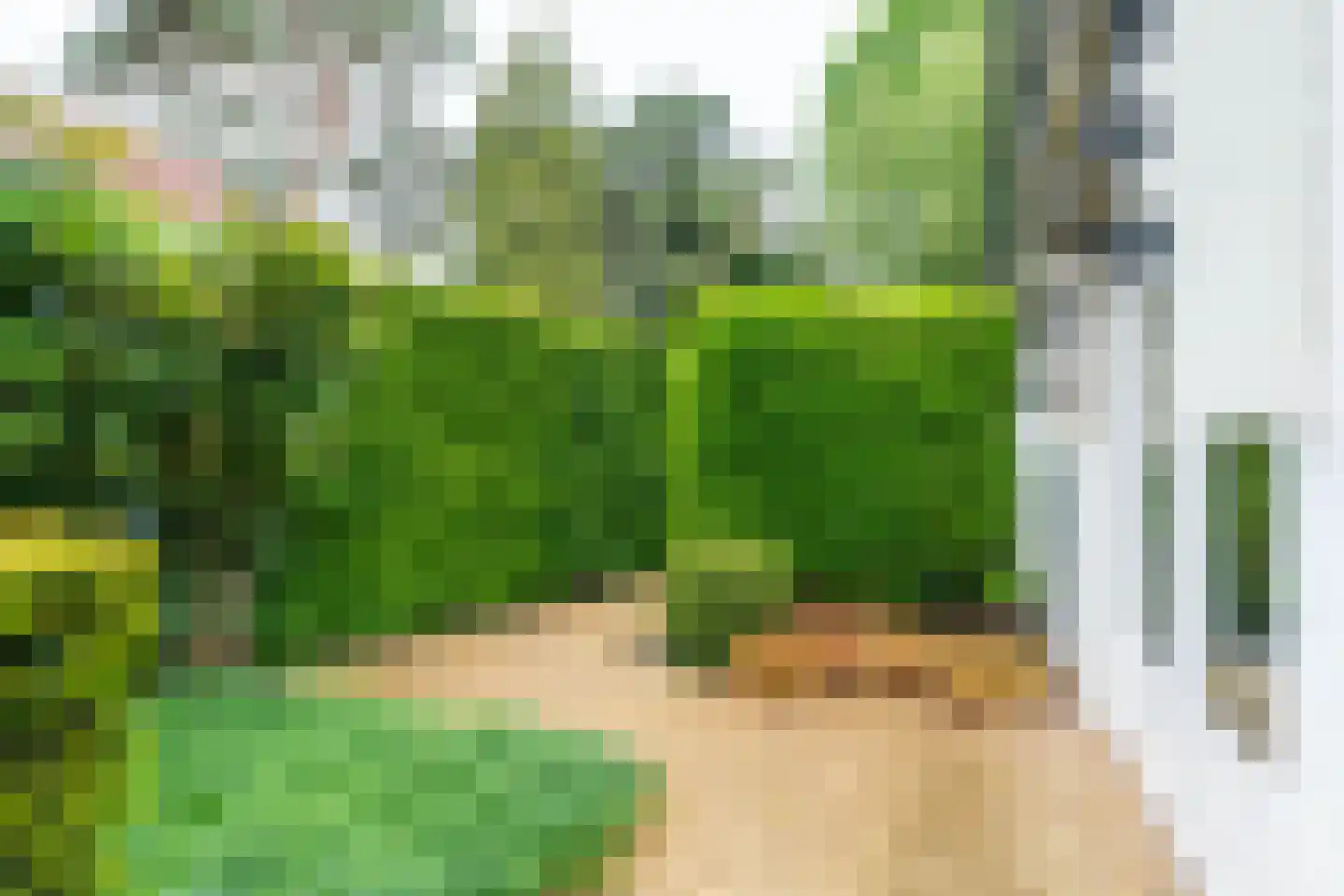 Ansbalduslaan 48 Waalre thumbnail 45