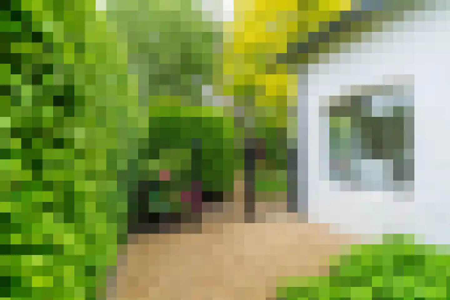 Ansbalduslaan 48 Waalre thumbnail 46