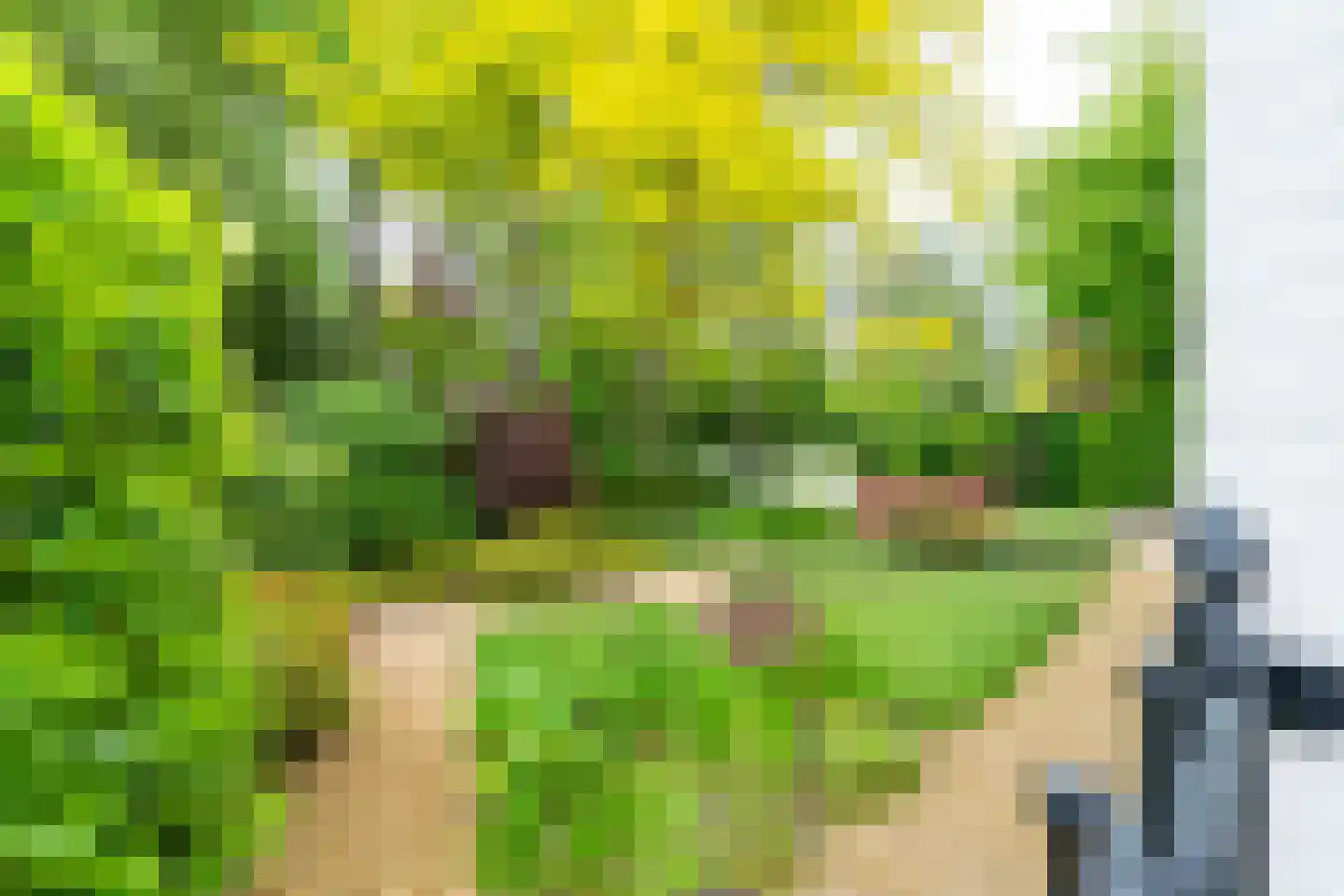 Ansbalduslaan 48 Waalre thumbnail 47