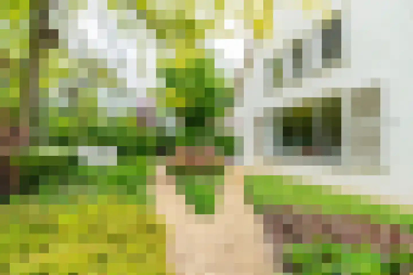 Ansbalduslaan 48 Waalre thumbnail 48