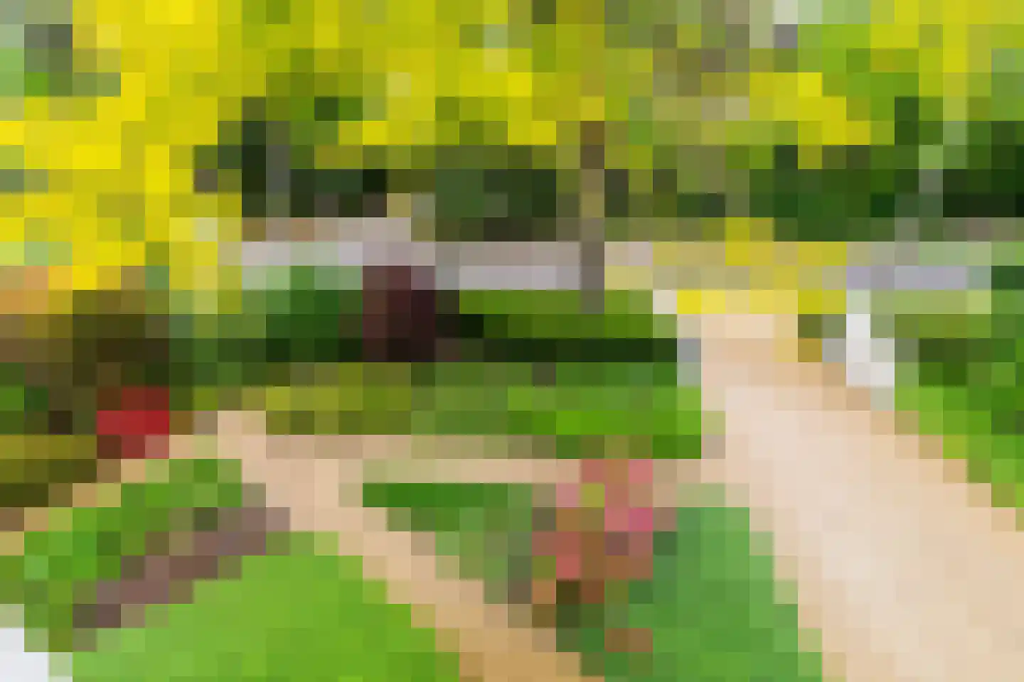 Ansbalduslaan 48 Waalre thumbnail 49