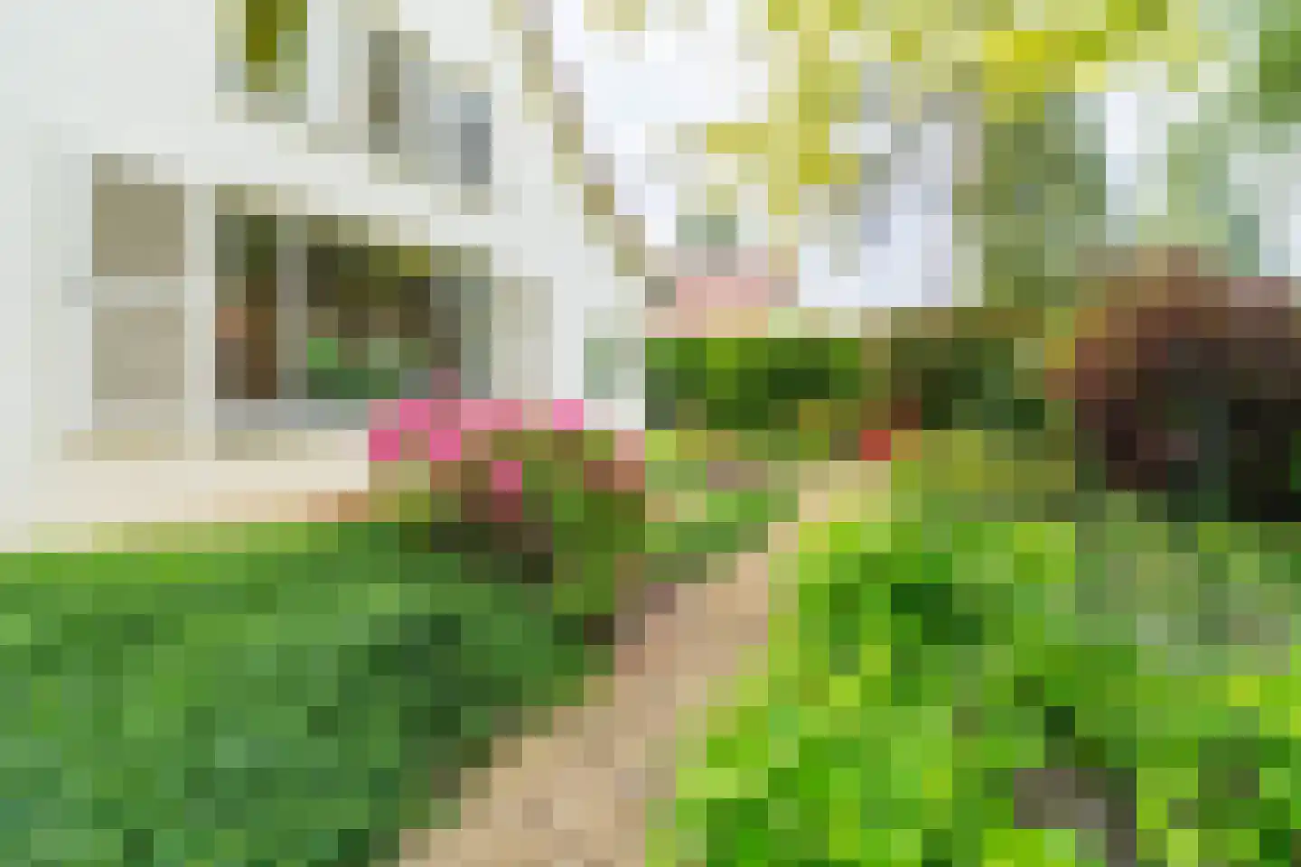 Ansbalduslaan 48 Waalre thumbnail 50