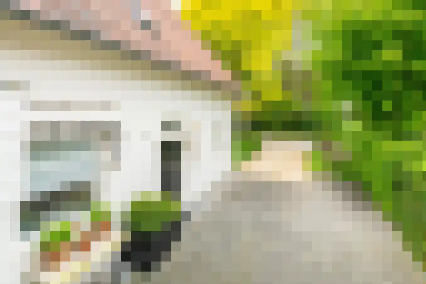 Ansbalduslaan 48 Waalre thumbnail 51