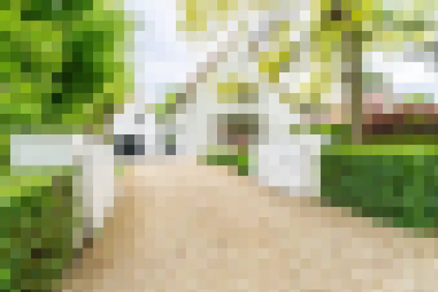 Ansbalduslaan 48 Waalre thumbnail 52
