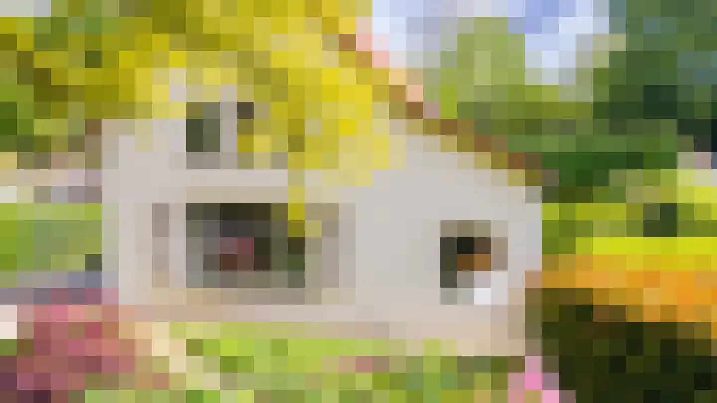 Ansbalduslaan 48 Waalre thumbnail 53