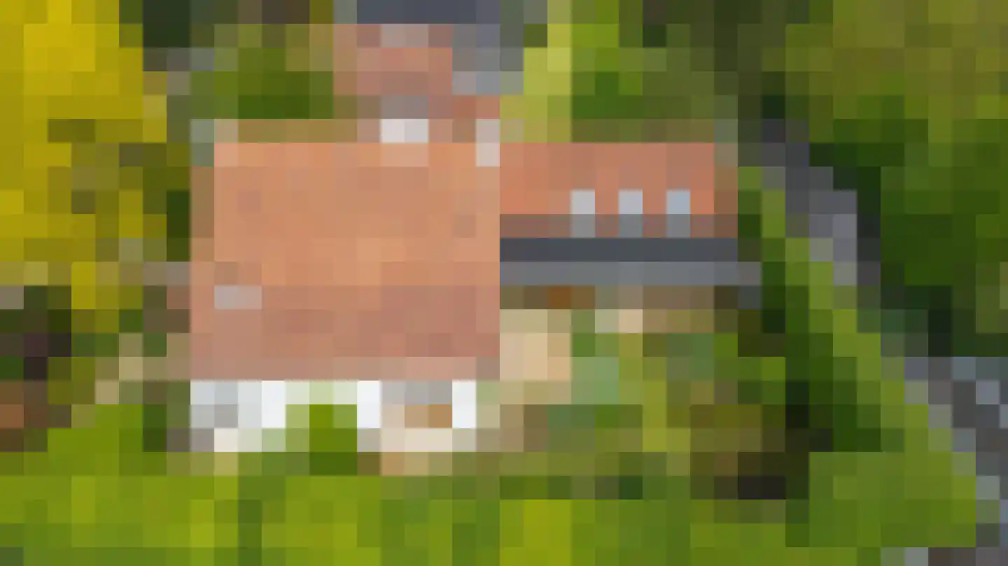 Ansbalduslaan 48 Waalre thumbnail 55