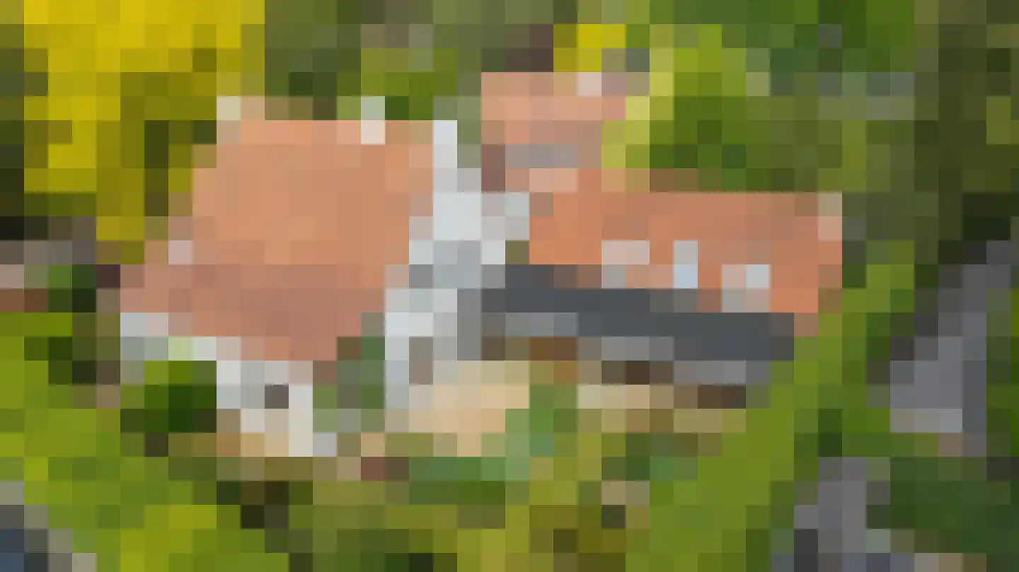 Ansbalduslaan 48 Waalre thumbnail 56