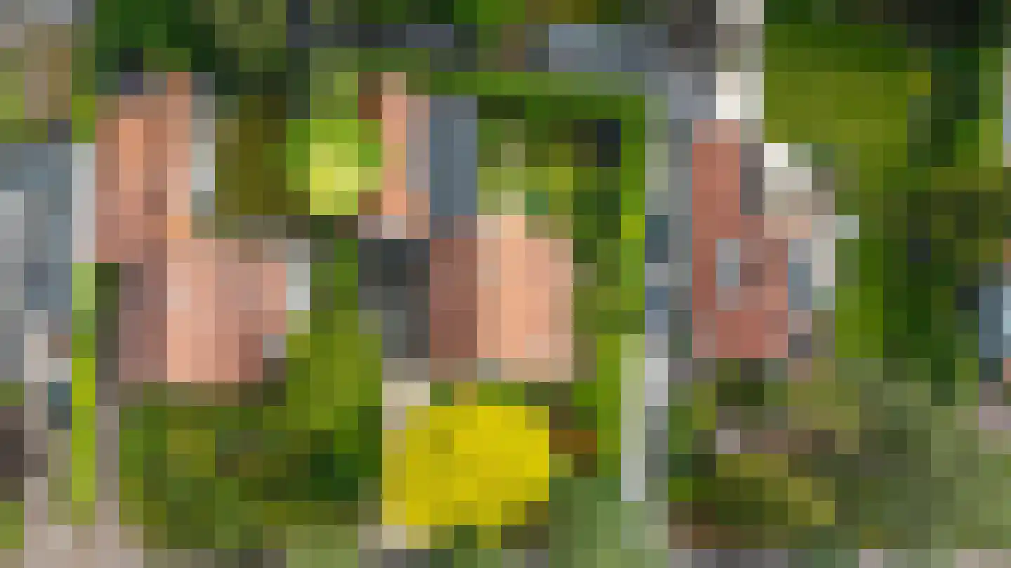 Ansbalduslaan 48 Waalre thumbnail 57