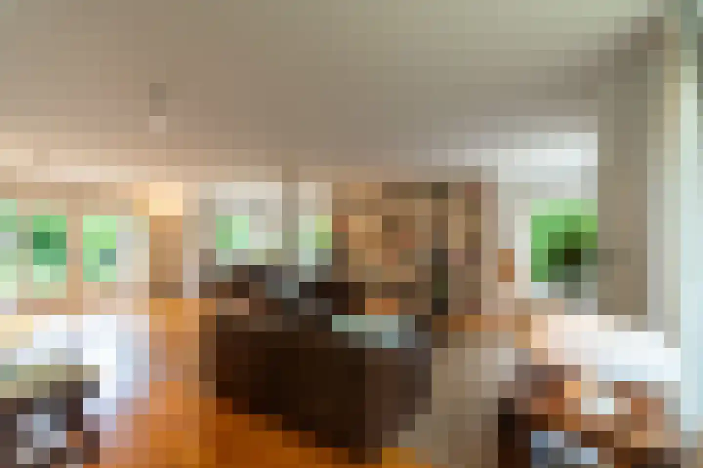 Ansbalduslaan 48 Waalre thumbnail 8