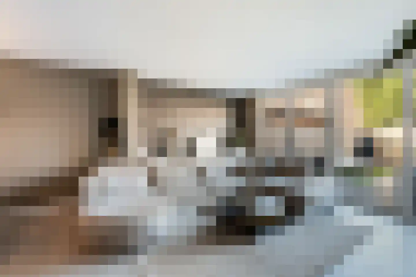 Ansekerke 32 Zevenbergen thumbnail 10
