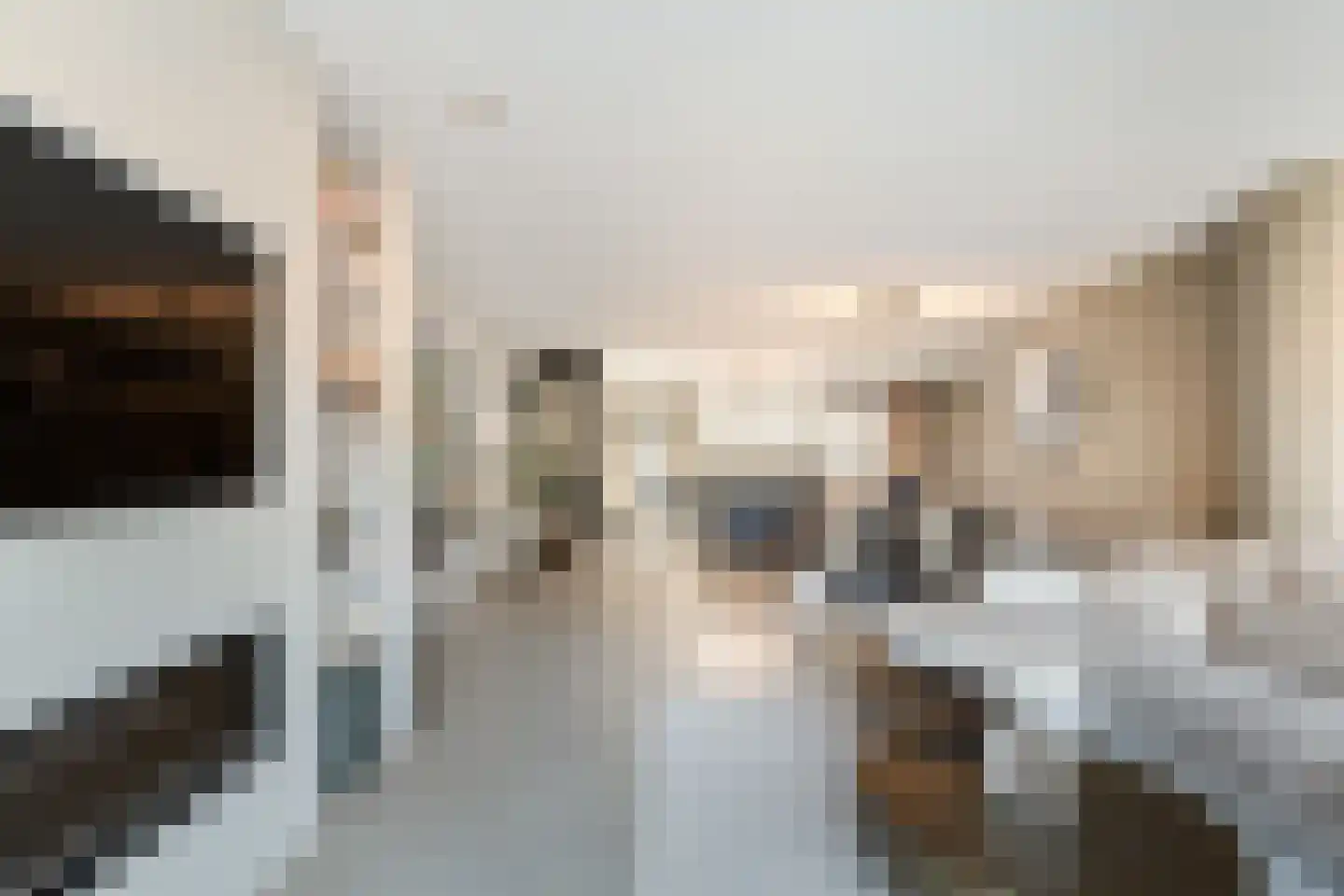 Ansekerke 32 Zevenbergen thumbnail 13
