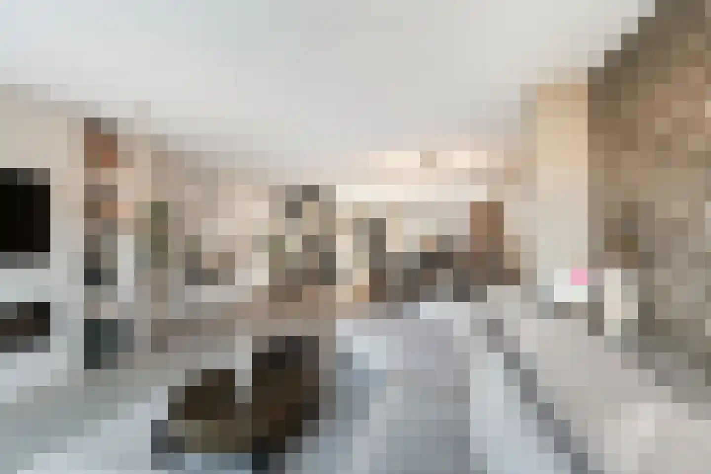 Ansekerke 32 Zevenbergen thumbnail 14