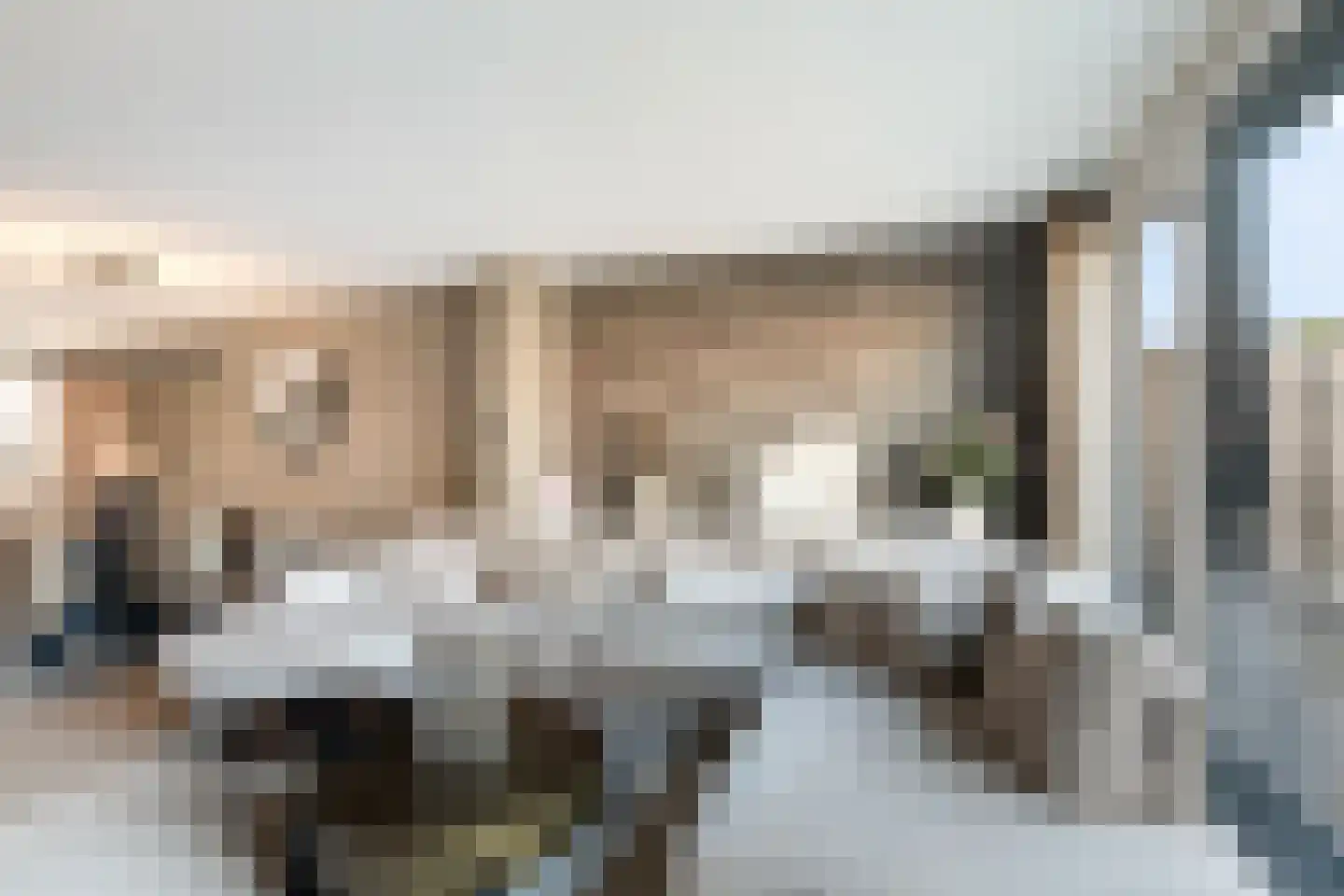 Ansekerke 32 Zevenbergen thumbnail 18