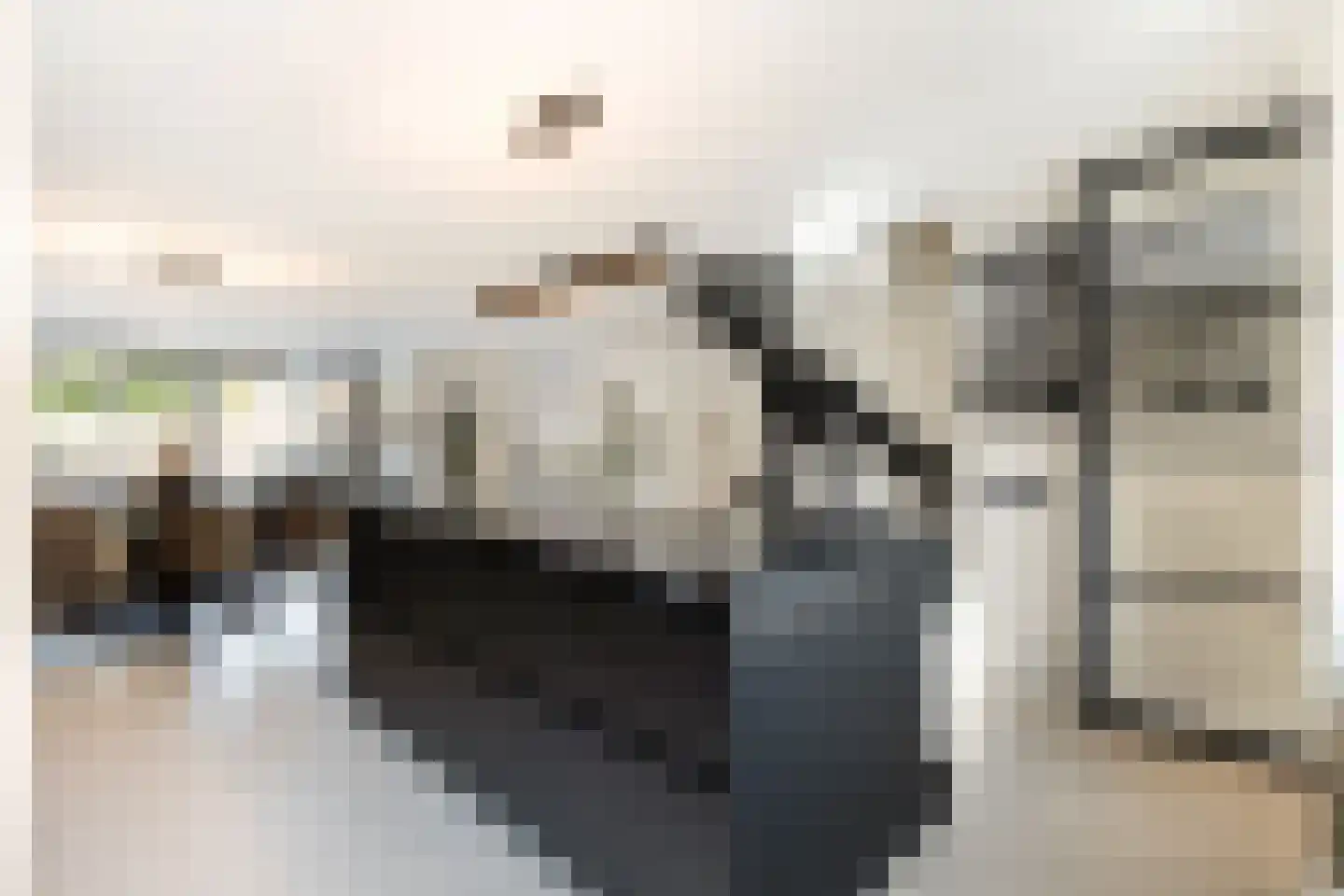 Ansekerke 32 Zevenbergen thumbnail 20