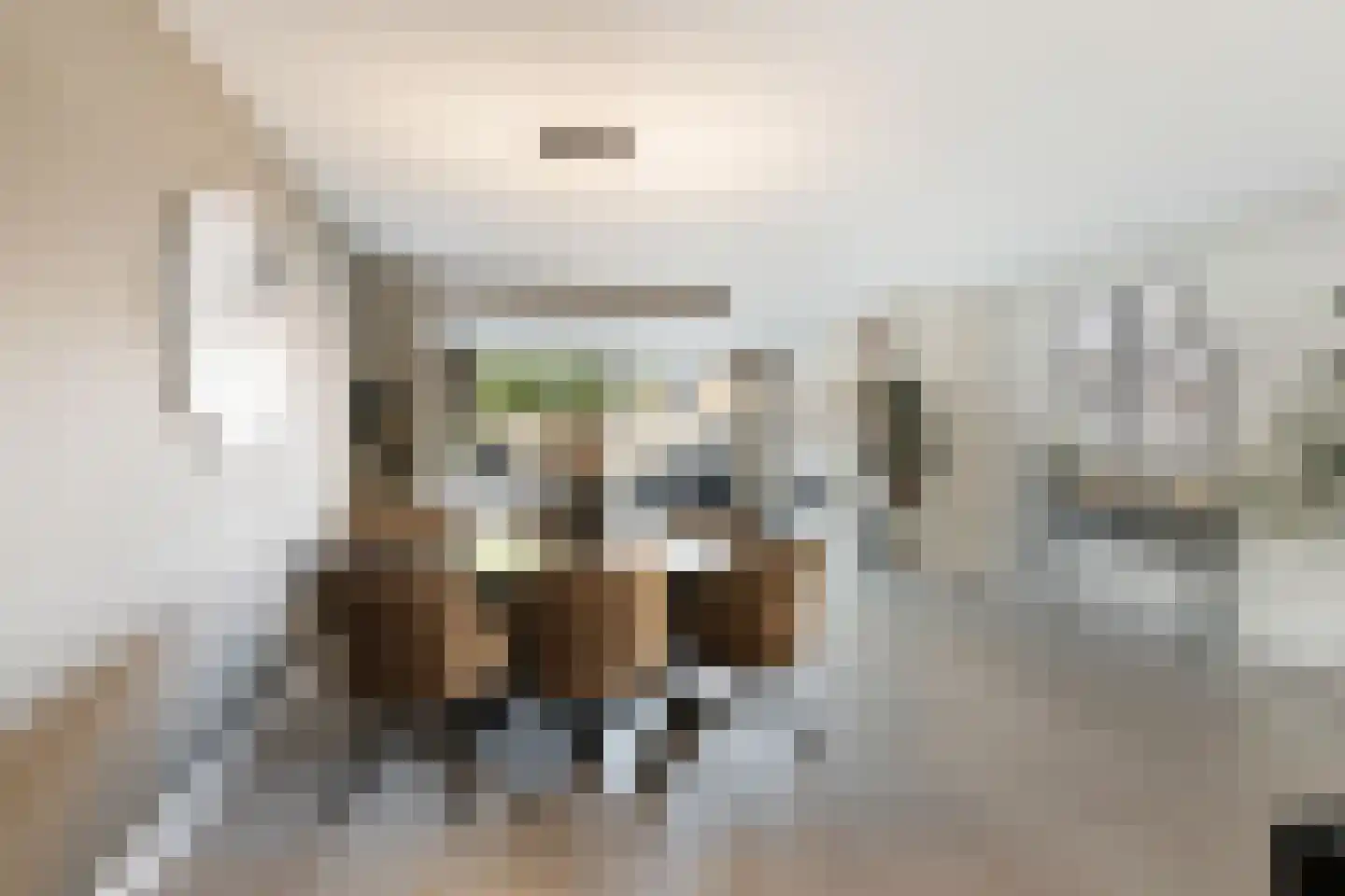 Ansekerke 32 Zevenbergen thumbnail 21