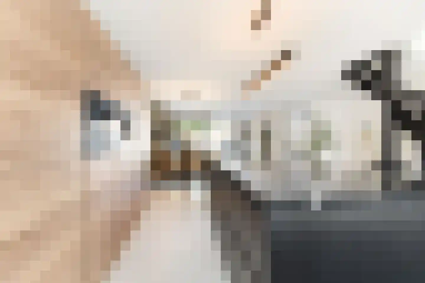 Ansekerke 32 Zevenbergen thumbnail 27