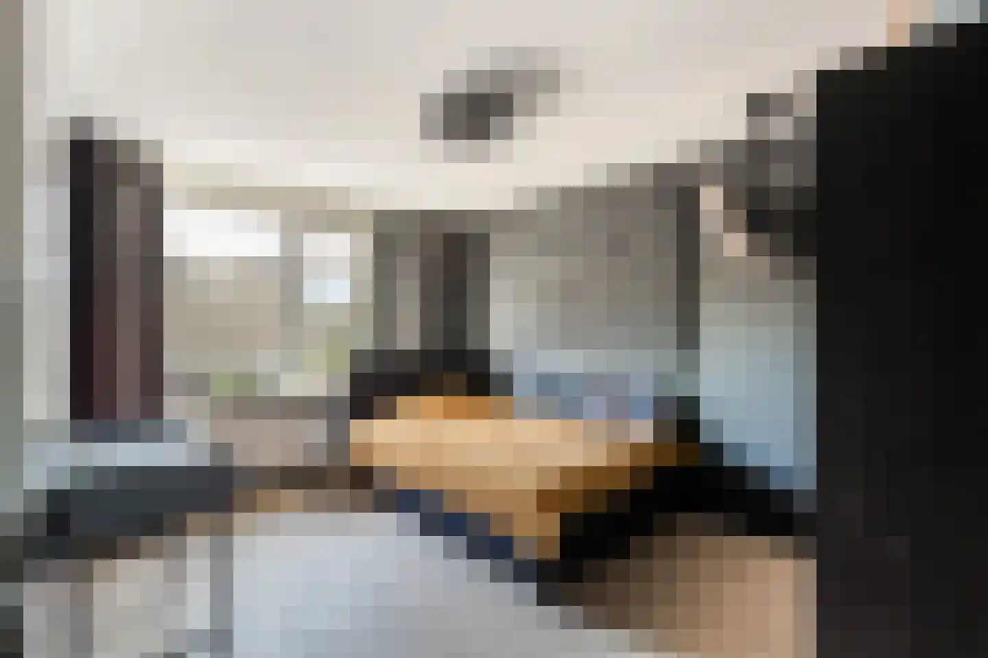 Ansekerke 32 Zevenbergen thumbnail 28