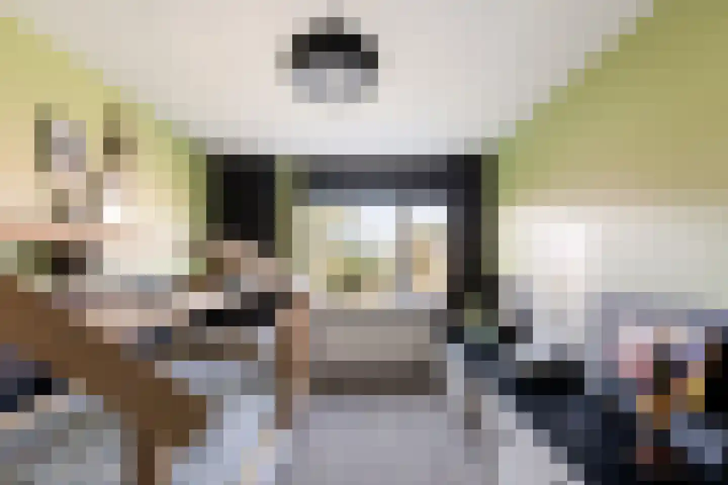 Ansekerke 32 Zevenbergen thumbnail 32