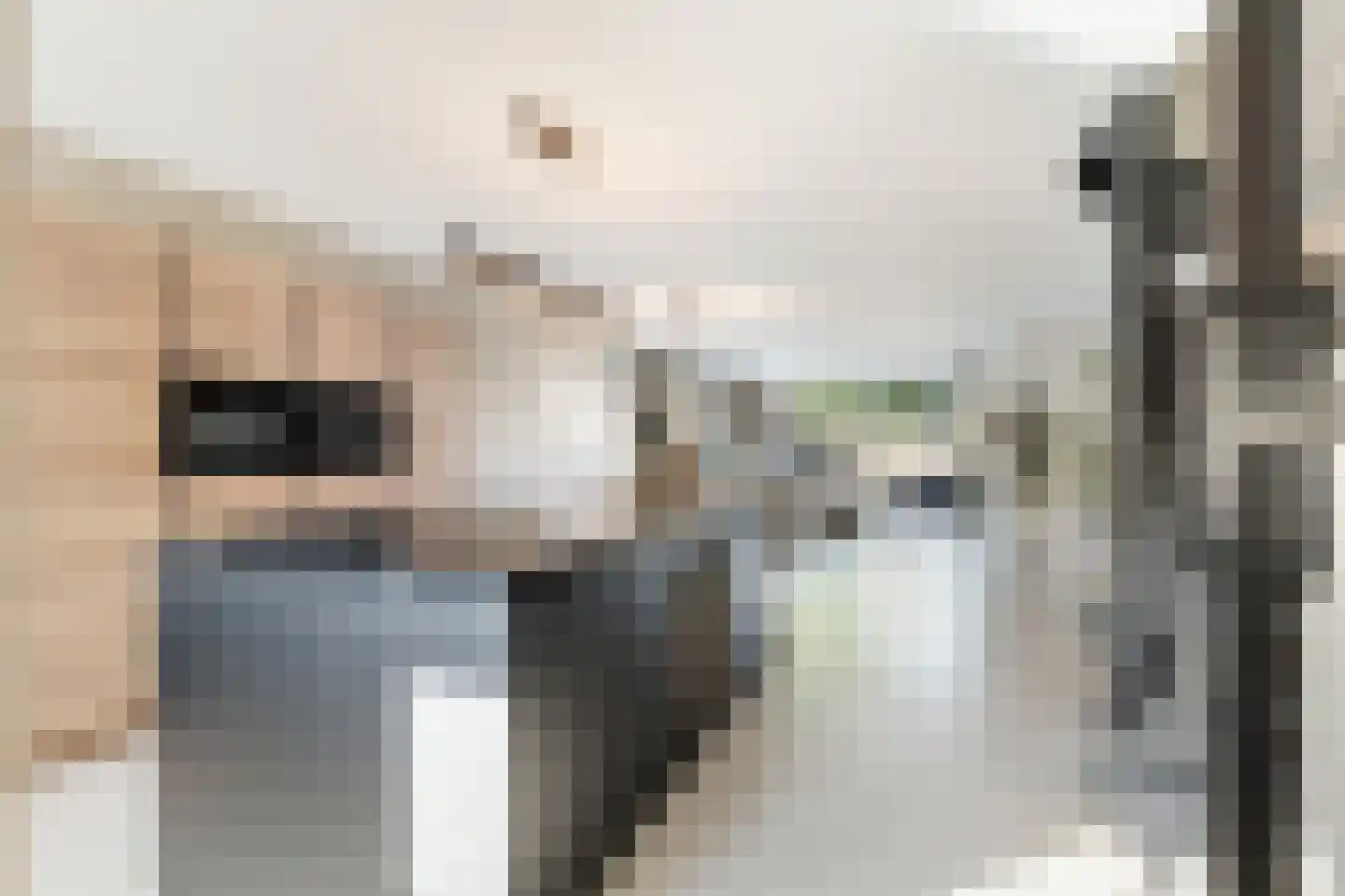 Ansekerke 32 Zevenbergen thumbnail 4