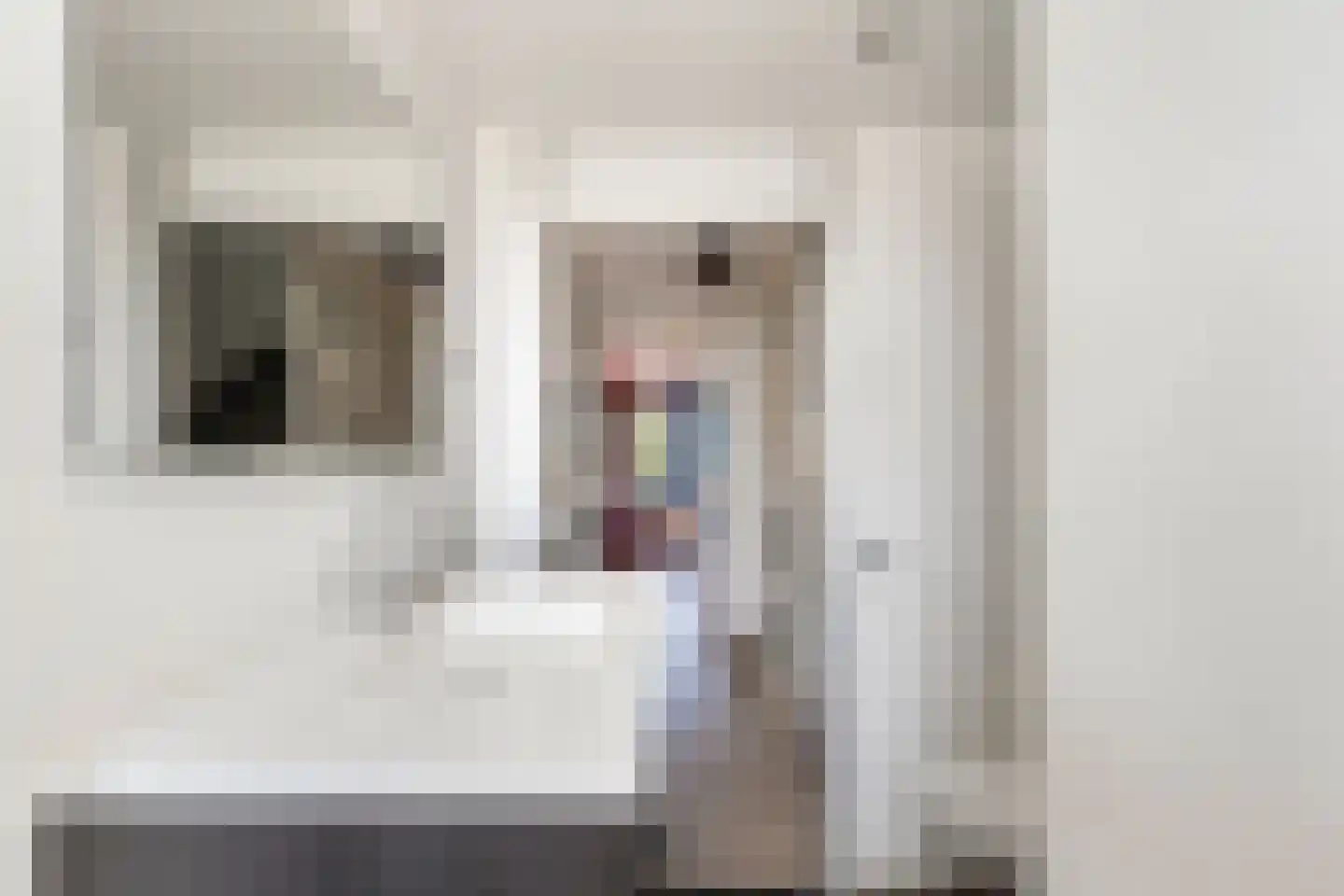 Ansekerke 32 Zevenbergen thumbnail 40