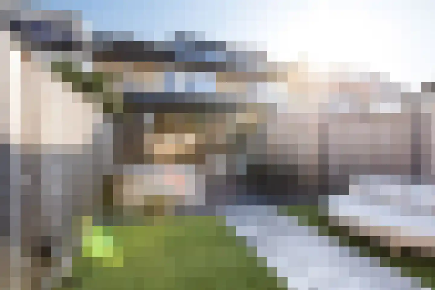 Ansekerke 32 Zevenbergen thumbnail 48