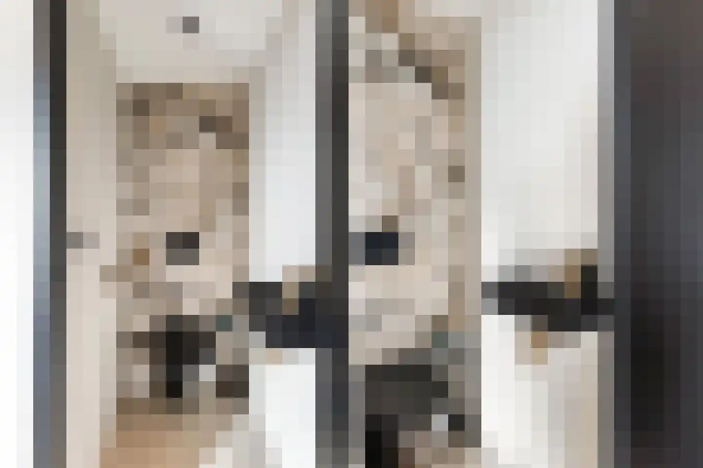 Ansekerke 32 Zevenbergen thumbnail 9