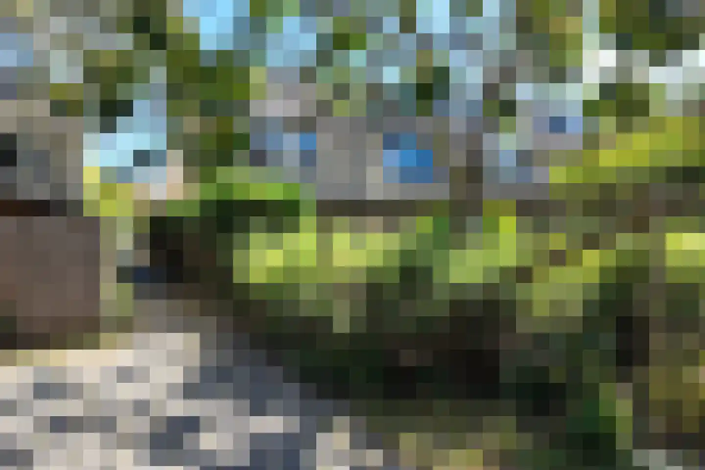 Ansekerke 58 Zevenbergen thumbnail 69