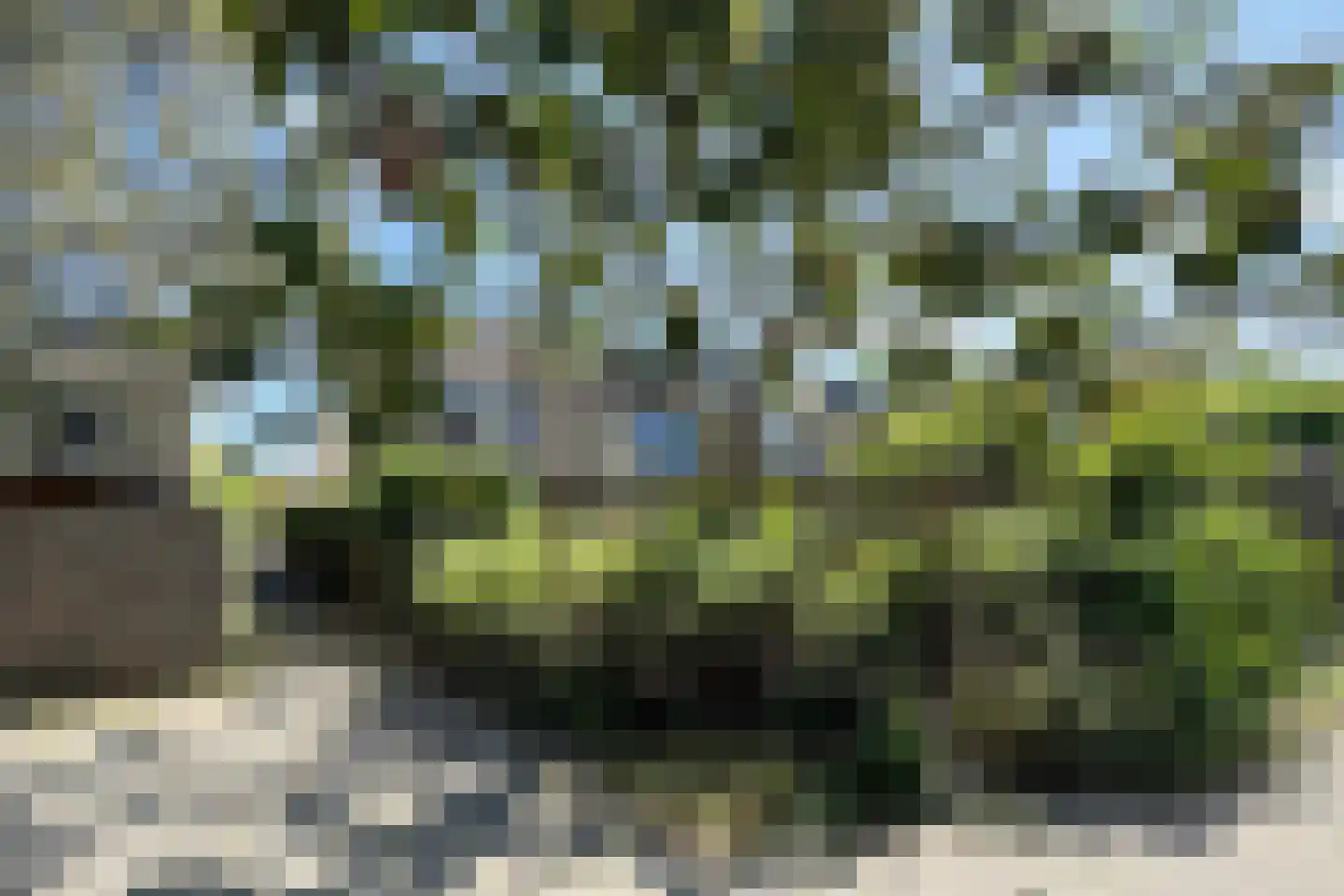 Ansekerke 58 Zevenbergen thumbnail 70
