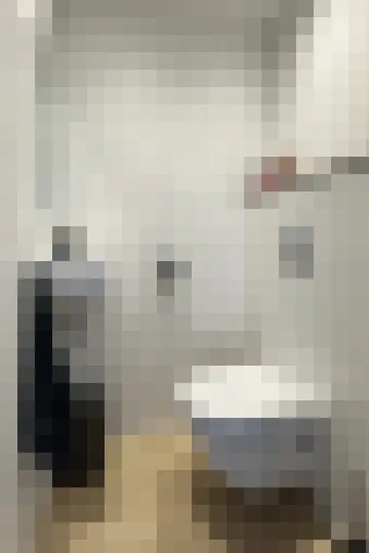 Ansekerke 9 Zevenbergen thumbnail 10