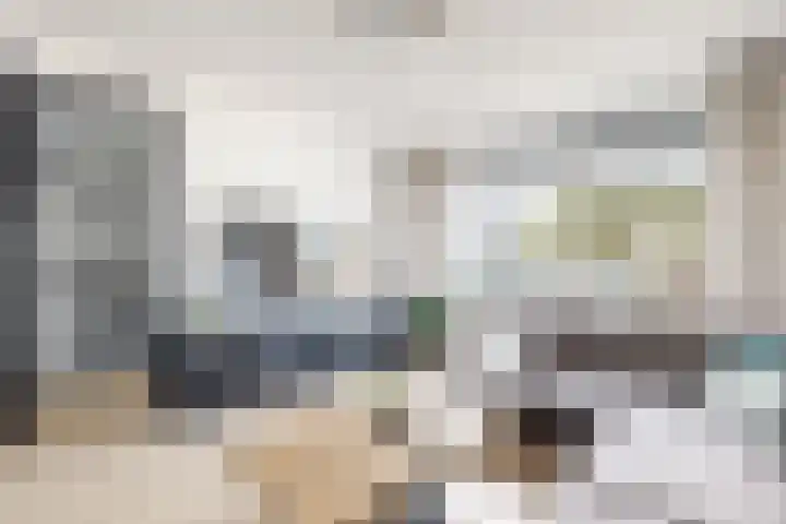 Ansekerke 9 Zevenbergen thumbnail 12
