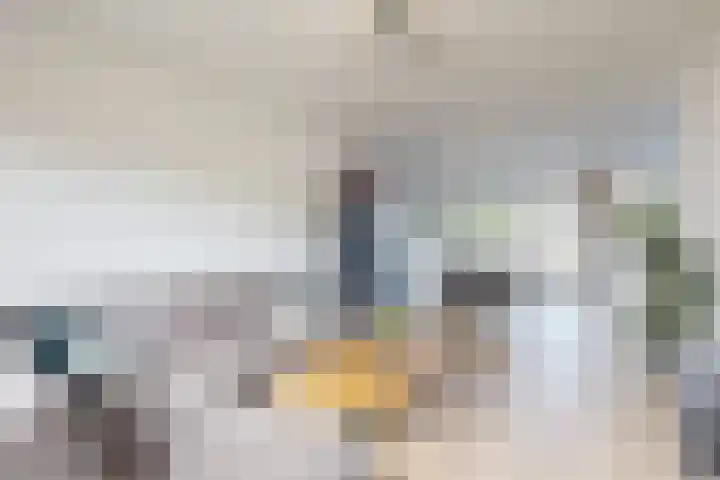 Ansekerke 9 Zevenbergen thumbnail 13