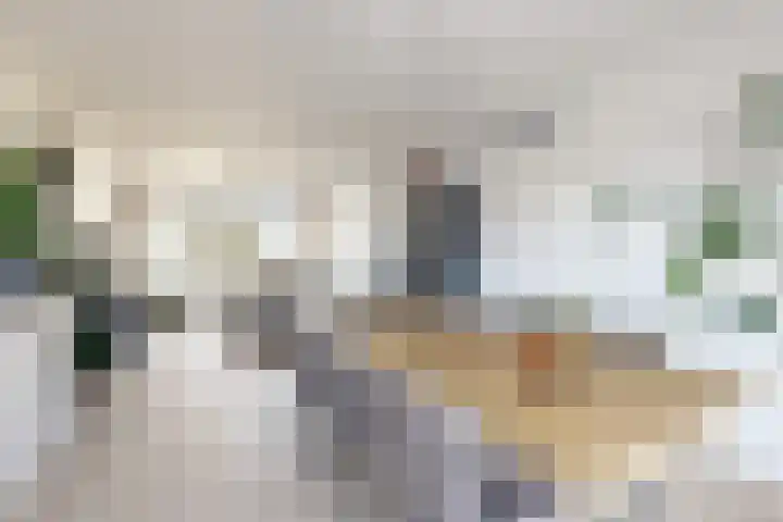 Ansekerke 9 Zevenbergen thumbnail 20