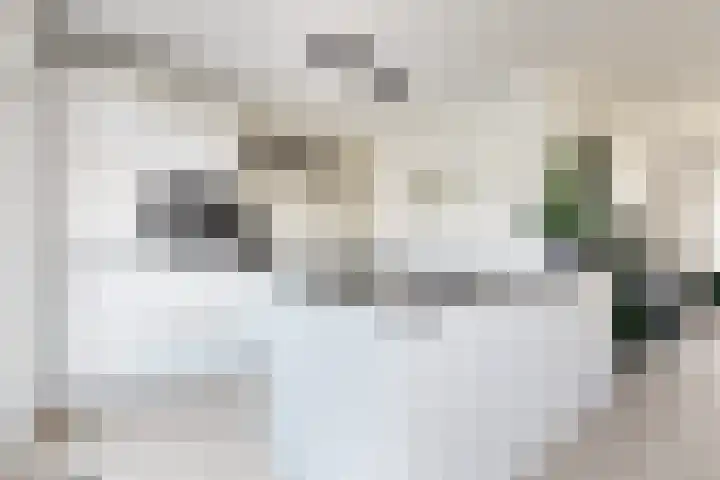 Ansekerke 9 Zevenbergen thumbnail 22