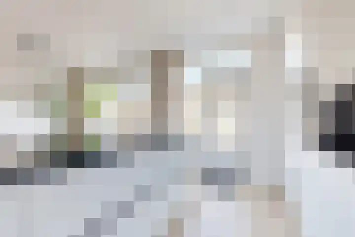 Ansekerke 9 Zevenbergen thumbnail 24