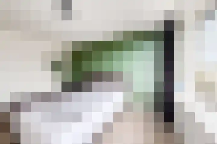Ansekerke 9 Zevenbergen thumbnail 28
