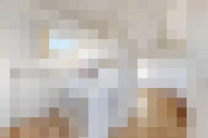 Ansekerke 9 Zevenbergen thumbnail 39