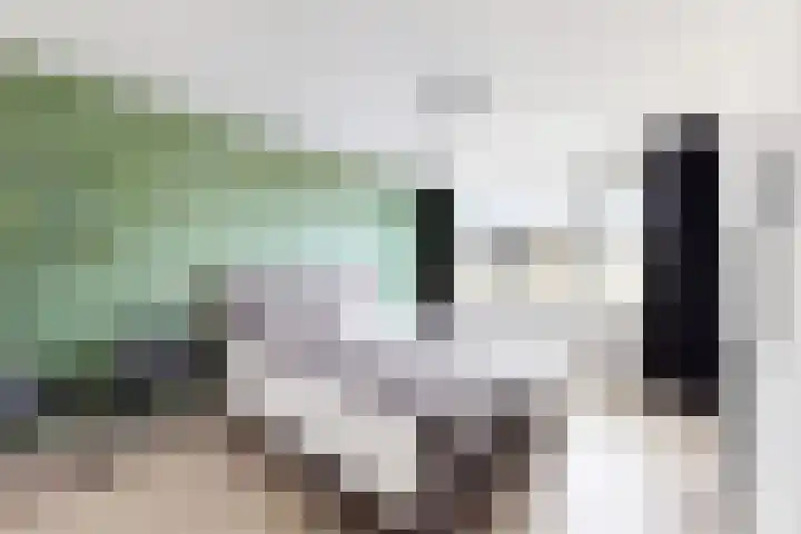 Ansekerke 9 Zevenbergen thumbnail 5