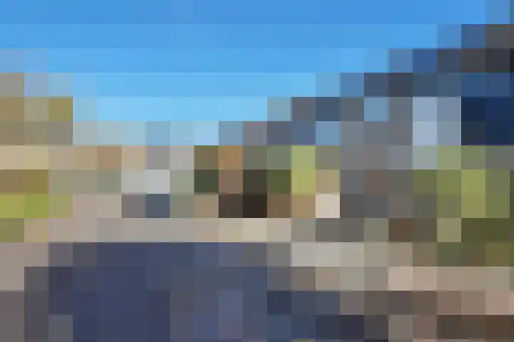 Ansekerke 9 Zevenbergen thumbnail 52