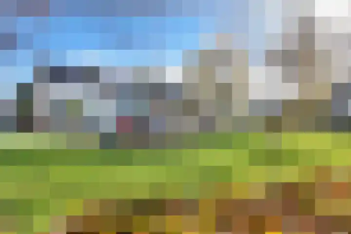 Ansekerke 9 Zevenbergen thumbnail 55